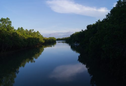 Kalibo