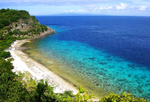 Halinat Lumangoy Kasama Ang Mga Pawikan Sa Apo Island