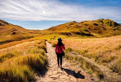 Let’s Go Hiking And Trekking At Mount Pulag