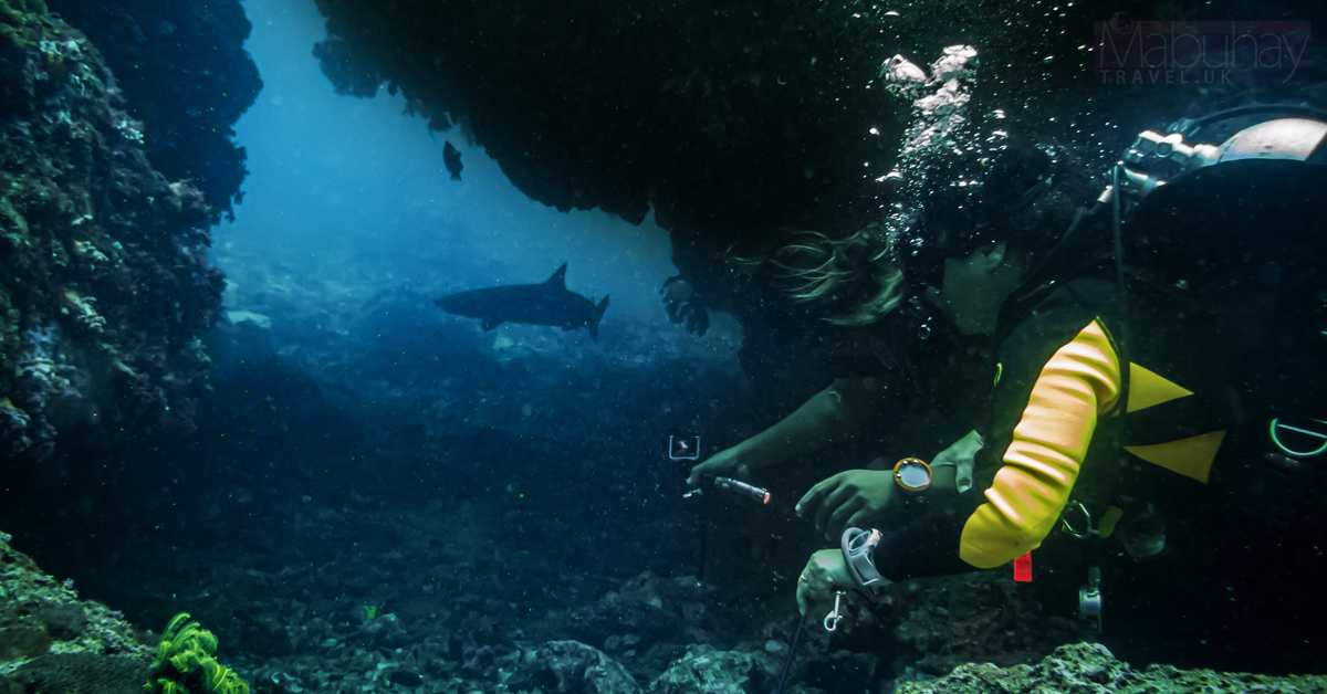 Diving destinations - Malapascua