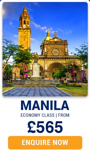 Singapore Arline Flights - Manila