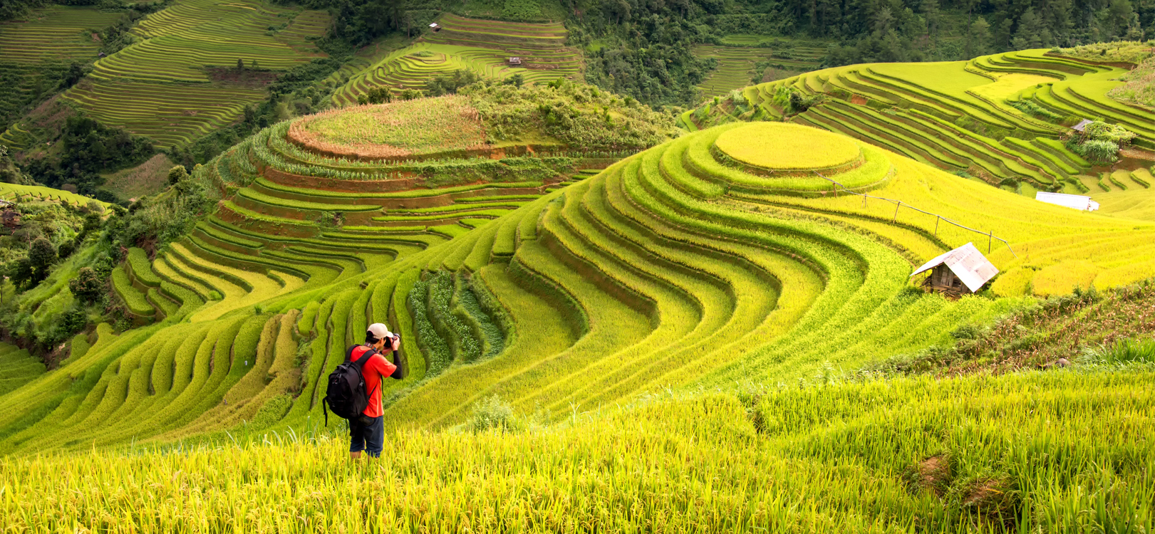 tourist attractions in the Philippines - Rice Terraces