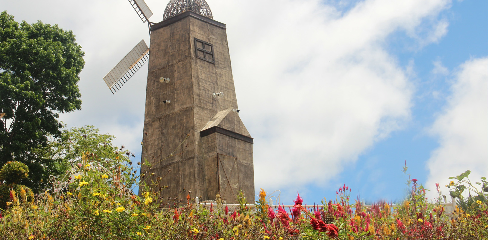 melhores lugares em Cebu para casais - Sirao Flower Farm