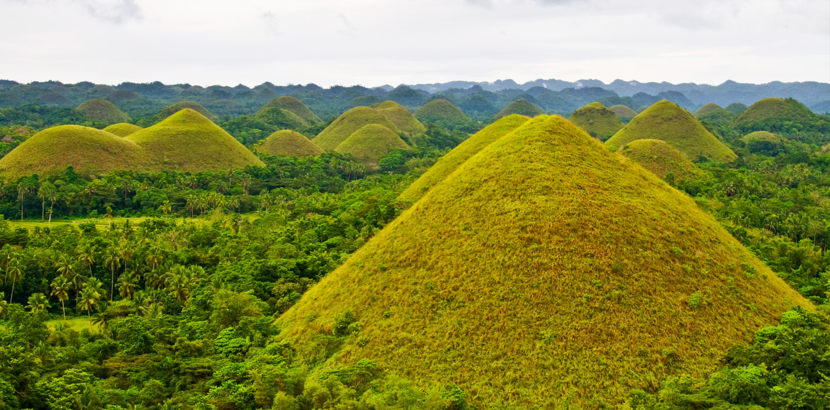 O que fazer em Bohol - Atrações